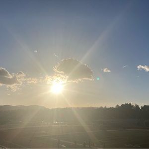 Meet your Posher, Gianna